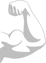 dessin bras musclé